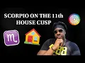 SCORPIO on the 11th house cusp The Transfomative Social Environment CAPRICORN RISING