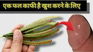कमजोर नसों मे जान फूंक देगा ये चीज़,बस लगाते हि होगा असर इतना तेज है यह आयुर्वेदिक औषधि जड़ी बूटी