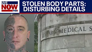 Download Body parts sold: Harvard employee charged in disturbing scheme | LiveNOW from FOX MP3