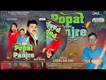 Lagu Popot purayo panjare - પોપટ પુરાયો પાંજરે - new timli 2024 - virdash malivad