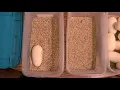Pulling reticulated python eggs