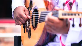 فيصل السالم وقف ووادعني 