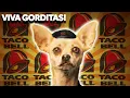 What Happened To The Taco Bell Chihuahua