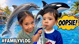 Our First Time at SeaWorld Was Almost a Tragedy