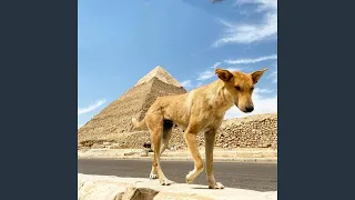 مهرجان عفاريت وملوك سداسيه دندنها