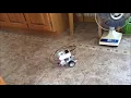 First LEGO EV3 robot with wheels programming project Stone County 4H MakeCode
