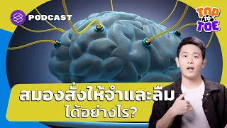 มีวิธีใดที่ช่วยให้ลืมความทรงจำเจ็บปวดได้เร็วขึ้นไหม