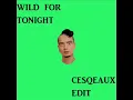 Wild For Tonight [Cesqeaux Edit - 100k Edit Pack]