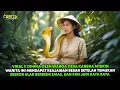 VIRAL !! DIHINA KARENA MISKIN, PETANI WANITA INI MENDAPAT KEKAYAAN SETELAH TEMUKAN SEEKOR ULAR EMAS
