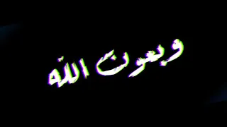 حالت واتس خلفيه سوداء مهرجان   داخل جروب مليان حروب   غناء مصطفى الجن و احمد موزه و امين خطاب        دندنها