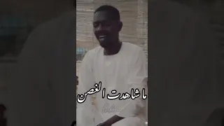 السودان الحقيبة كسلا 