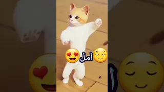 حسب الطلب الاكثر امل مصر الجزائر العراق عمان تركيا السعودية امارات الهند 