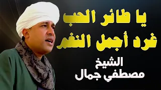 يا طائر الحب غرد أجمل النغم أجمل قصائد المدح الشيخ مصطفي جمال 