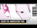 Grundium Annotation Tool