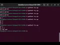 Python message printing commenting variable printing