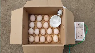 how to make incubator at home