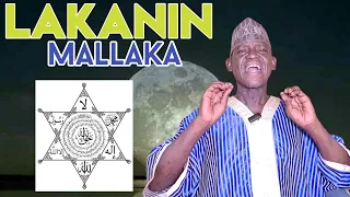 mallakar mace ko namiji mai taurin kai sadidan daga sheikh ubale adakawa