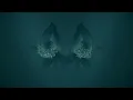 Ludovico Einaudi - Einaudi: Fly (Official Visualiser)