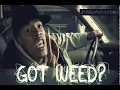Best Marijuana Movie GIFs