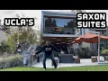 UCLA College Dorm Tour Inside Saxon Suites