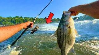 Fishing for Dinner in these Rapids Loaded with Fish!