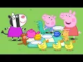 Download Lagu Peppa Pig Nederlands | Teddyberen picknick | Tekenfilms voor kinderen