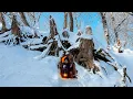 Lagu Building a Hidden Dugout Under a Stumps.Warm secret shelter. Bushcraft Survival