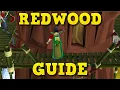OSRS Cutting Redwood Logs Guide 2022 Woodcutting Guide 1 Hour