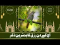 Listen This Beautiful Morning Azkar & Dua For Blessings ❤ Protection ❤ Rizq ❤ Tasbih  أذكار الصباح