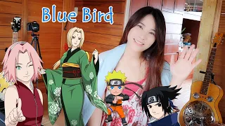 emi chan latihan nyanyi lagu naruto blue bird ikimono gakari