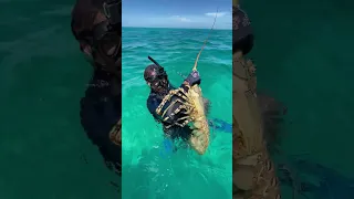 Hand Grabbing this GIANT LOBSTER! #shorts