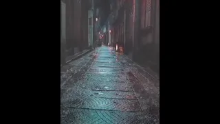 بدك للحق الناس بتكره كلمة لا ماشي الدني بالمقلوب كل شي ممنوع ومرغوب حالة واتساب وائل كفوري 