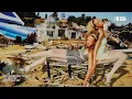 IBIZA SEXY ORGANIC DEEP HOUSE FLY WITH YOU DJ D E D IBIZA MIX