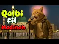 Download Lagu Cat Singing Qalbi Fil Madinah Latest Trending Islamic Song | Naat 2025
