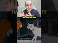 Download Lagu The Aristocats Surprising Inspiration