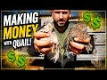 Make Money with Quail Eggs Chicks Profitable Farm Ideas