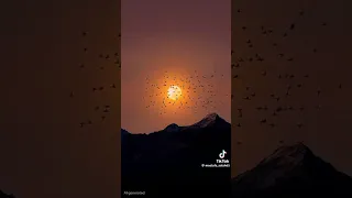 ياعشقي الابدي دندنها