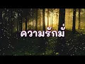 ความรักมั่นคง