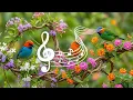Healing Piano & Calm Nature Sounds 🍀 Bird Sound for Calm Your Mind, Fears & Anxiety🐦