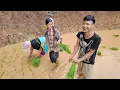 Download Lagu ĐẠI TIỆC CẤY LÚA TRÊN SƠN TRẠI ANH ĐIẾC CÔNG TỬ TOÀN MÓN NGON NHẤT LŨNG CÁNG . PHENG PHENG VLOG
