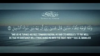 أحمد خضر سورة القصص 