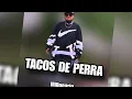 Millonario - Tacos De Perra ( lyric ) Tiraera 