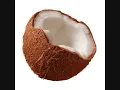 Put The Lime In The Coconut