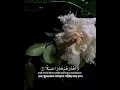 Download Lagu Surah Al-Muzzammil 10-14