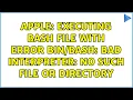 Apple Executing bash file with Error bad interpreter No such file or directory