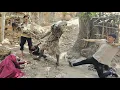 Download Lagu Rescuing a nomadic girl: A deadly battle with a wild caveman!