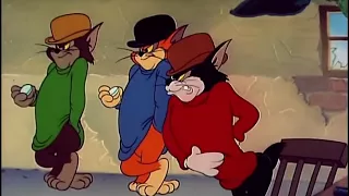 توم وجيري حلقه عصابه القطط 