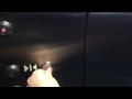 Dedham MA Schindler 330A Hydraulic Elevator Showcase Cinemas De - Lux Legacy Place
