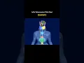 Download Lagu Lalita Sahasranamam talks about CHAKRA'S #chakras #lalitasahasranama #yogi