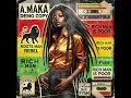Download Lagu Roots Reggae (1972) [Unreleased Album] Amaka Fyah - Rich Man is Poor